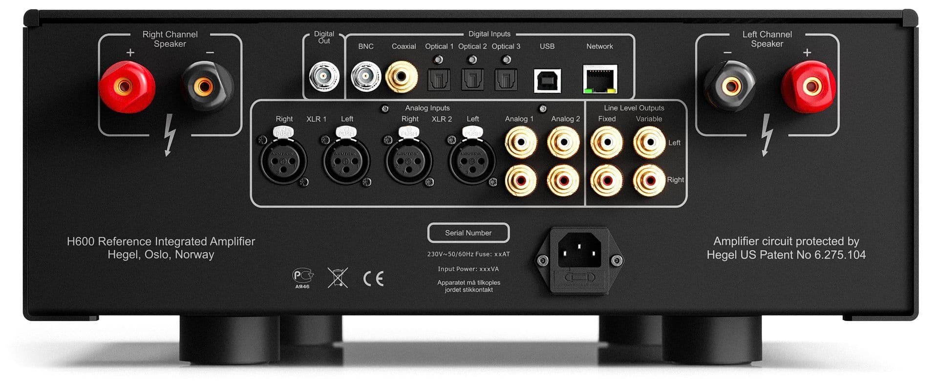 Discover the Hidden Power of Hegel H600's Dual Mono Design