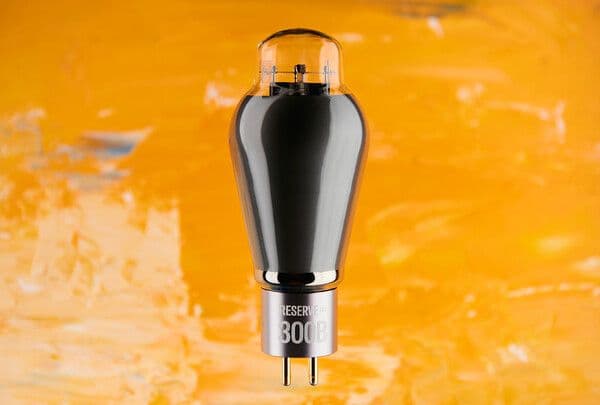 Discover the Exclusive Ray Tubes Reserve 300B Audiophile Vacuum Tube
