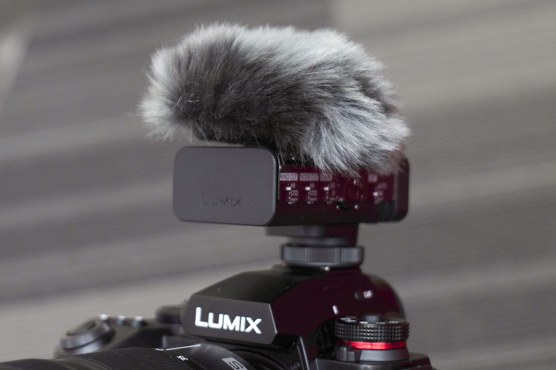 Panasonic DMW-DMS1 Digital Shotgun Microphone with Six Switchable Pickup Patterns and 32-Bit Float Recording