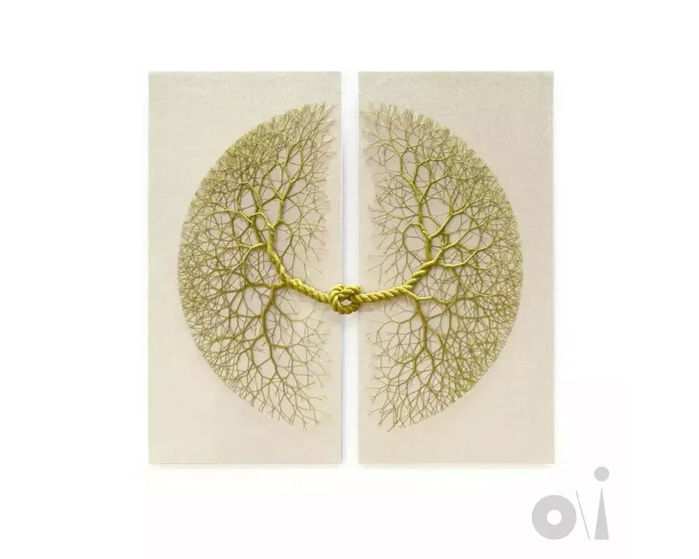 Peter Gabriel Announces His New Album o/i for Full Moon Releases in 2026