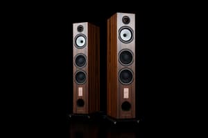 Triangle Antal 40th Anniversary Edition Floorstanding Speakers Celebrate Four Decades of French Design