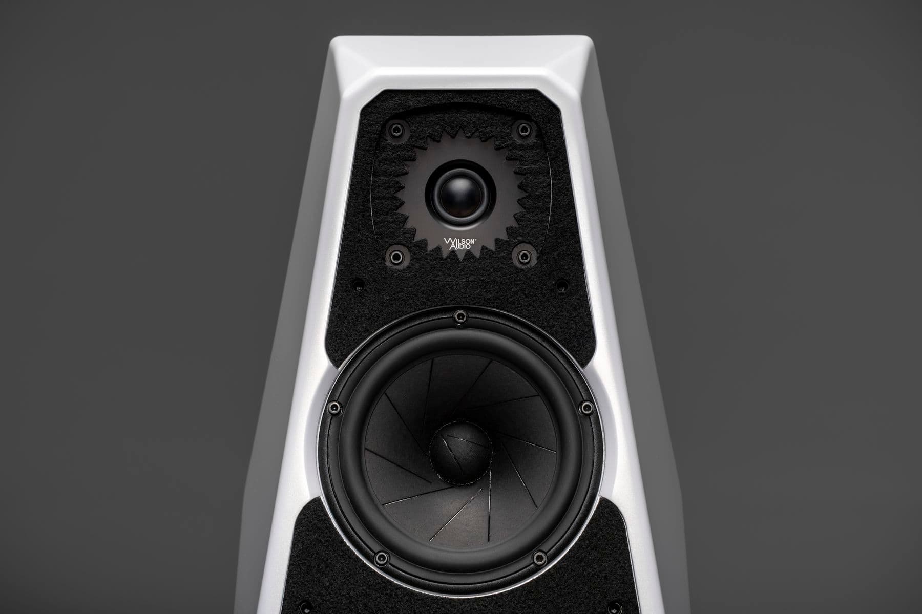 Introducing Wilson Audio Sabrina V: Revolutionary Materials and Design Enhancements