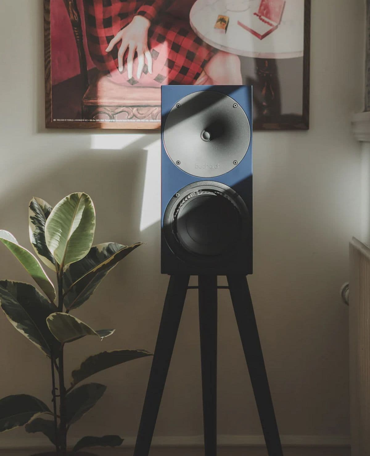 Buchardt Anniversary 10 Color Edition Active Speakers