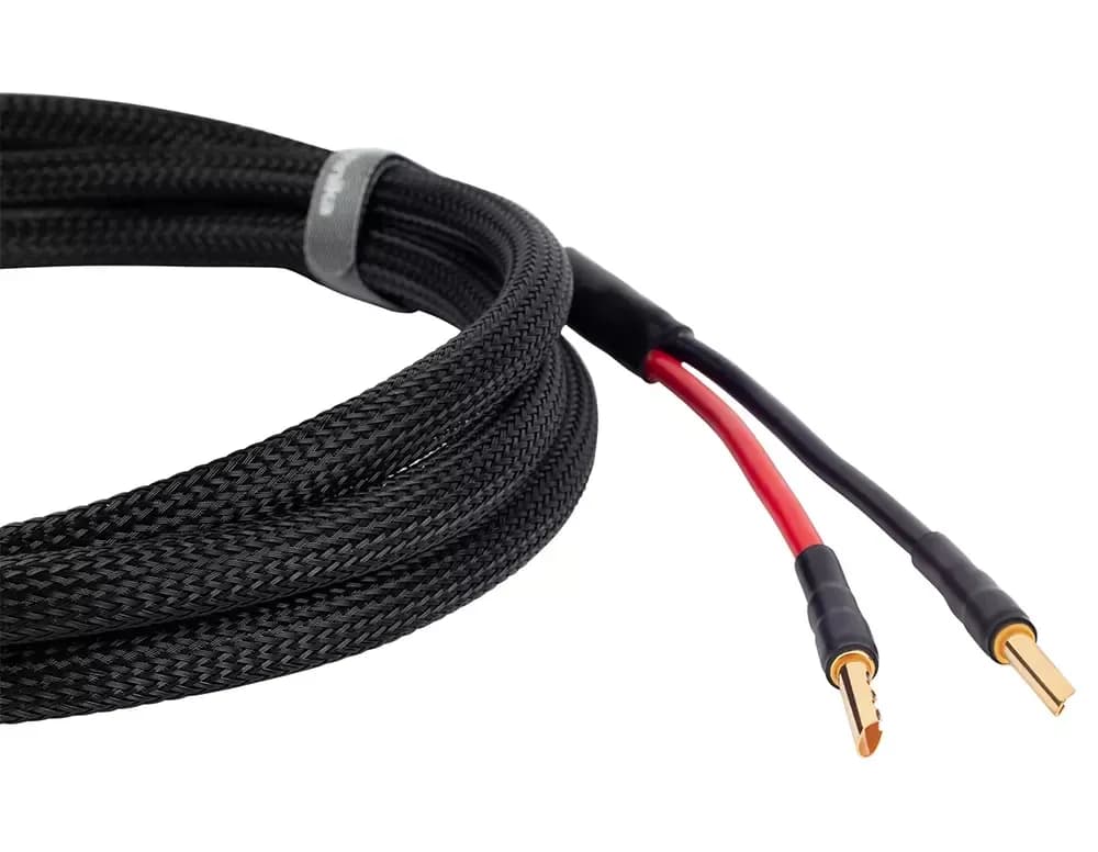 Radiotechnika Volna 2.5 Acoustic Cable: Premium Sound Quality