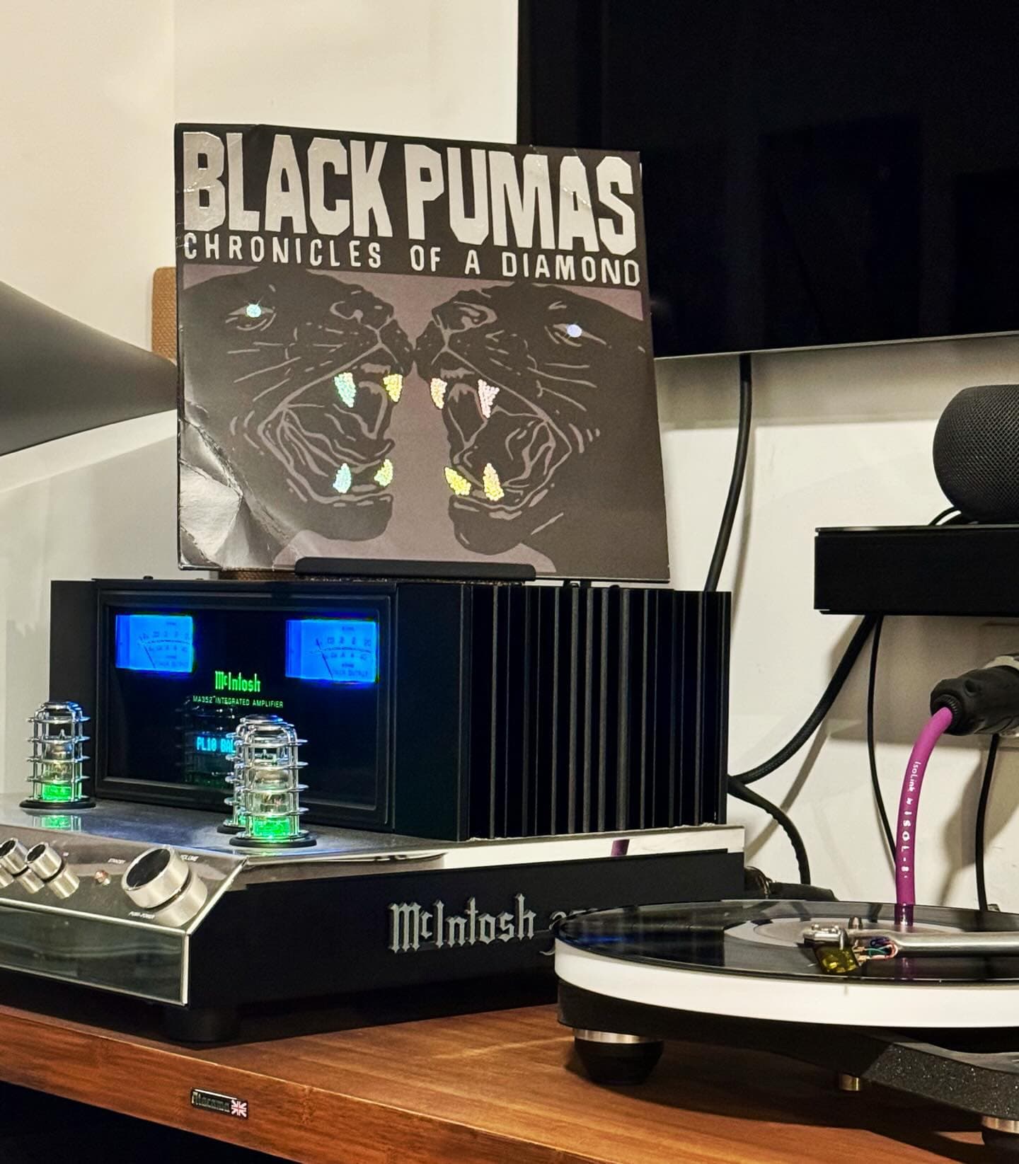 The Vinyl Enthusiast's Dream Setup