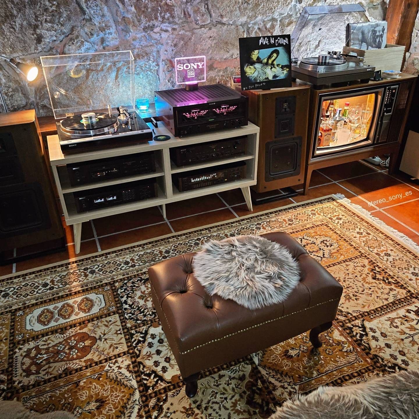 The Audiophile's Vintage Modern Blend