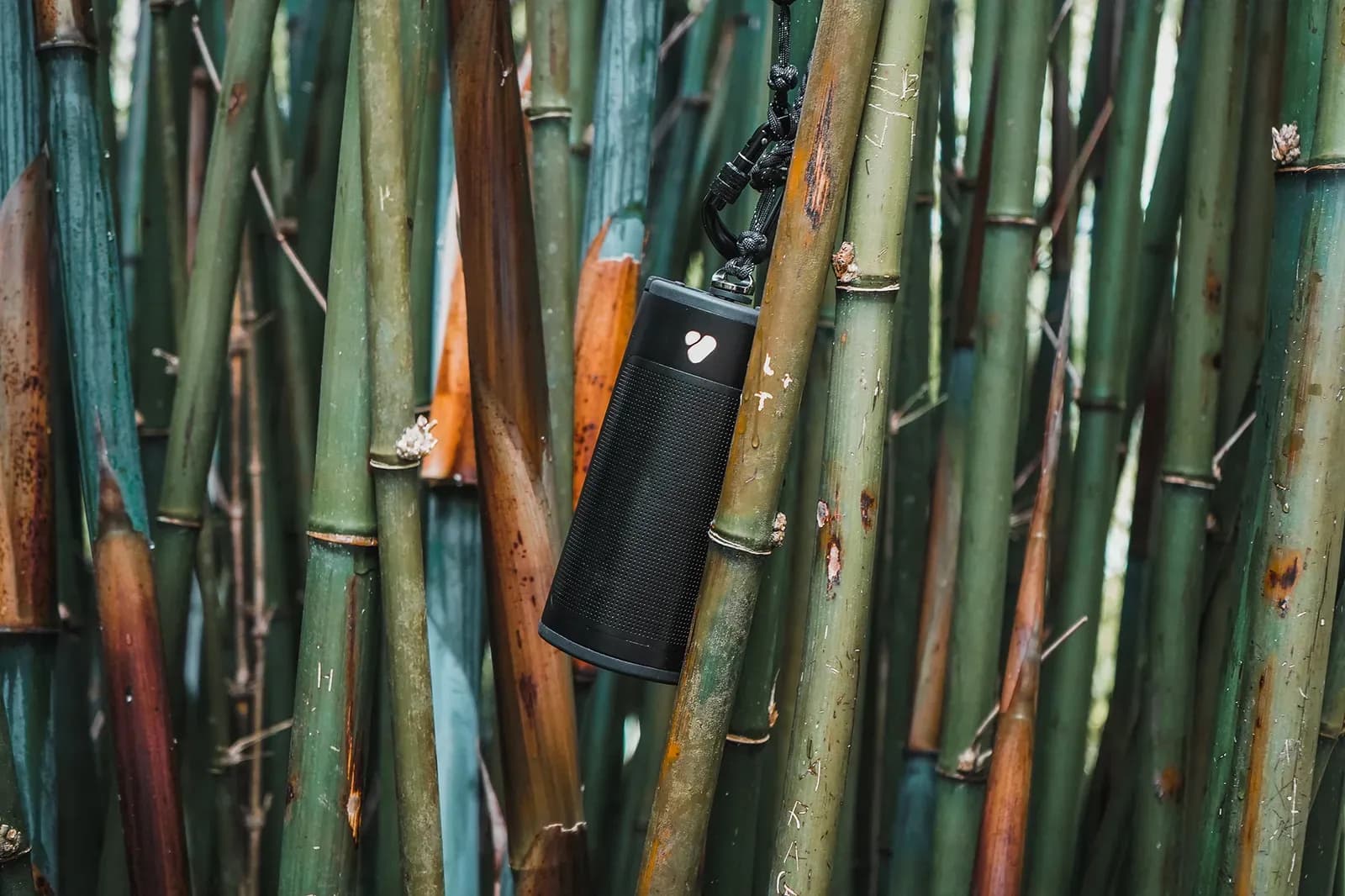 Poca Audio Unveils Pine Beat Portable Speaker Focused on Sustainability and Performance