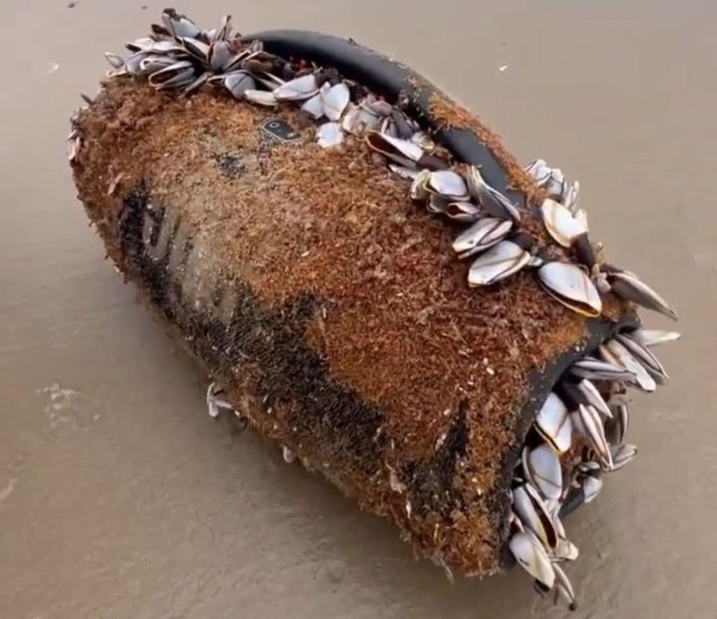 JBL Bluetooth Speaker Survives Three Months in Ocean, Sparks Debate